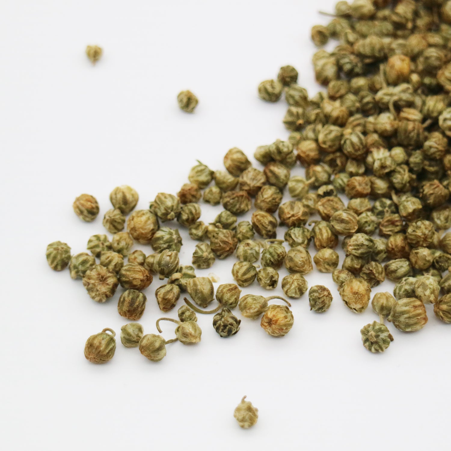 Chrysanthemum Indicum Seed Tea Secondary image